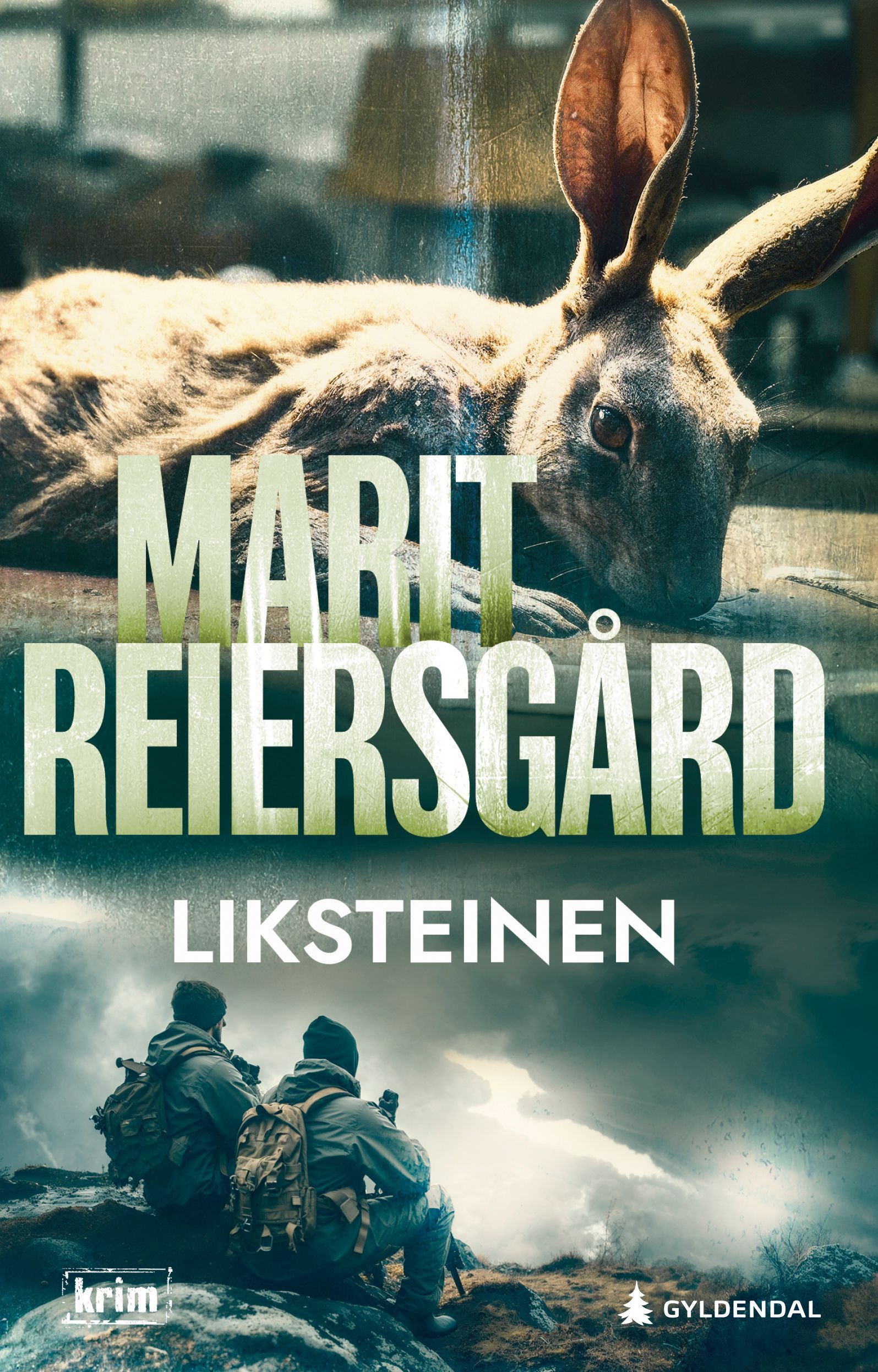 Liksteinen : kriminalroman