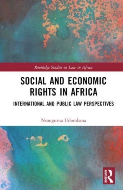 Social and Economic Rights in Africa : International and Public Law Perspectives