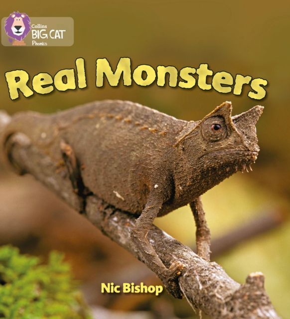 Real Monsters : Band 03/Yellow