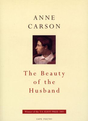 The beauty of the husband : a fictional essay in 29 tangos