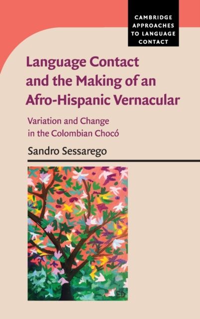 Language Contact and the Making of an Afro-Hispanic Vernacular : Variation and Change in the Colombian Choco