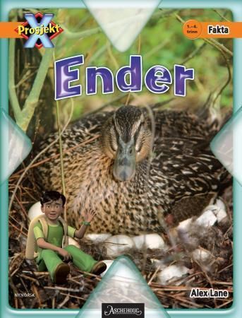 Ender