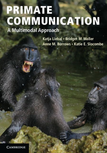 Primate Communication : A Multimodal Approach