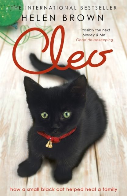 Cleo : How a small black cat helped heal a family