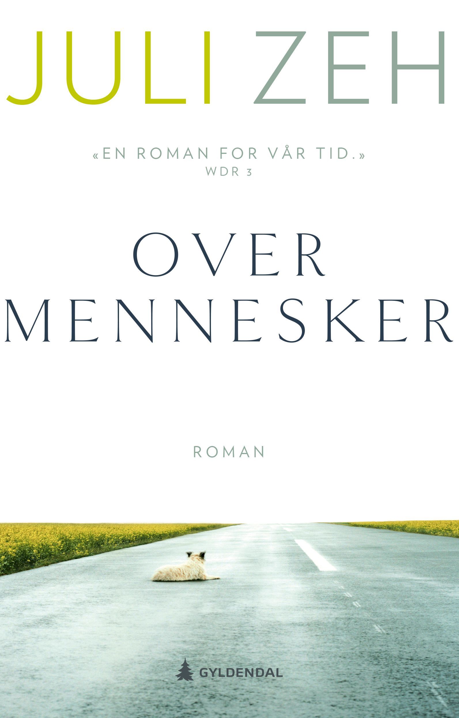Over mennesker : roman