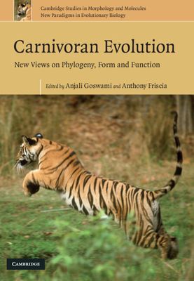 Carnivoran Evolution : New Views on Phylogeny, Form and Function