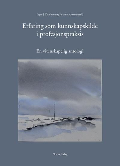 Erfaring som kunnskapskilde i profesjonspraksis : en vitenskapelig antologi
