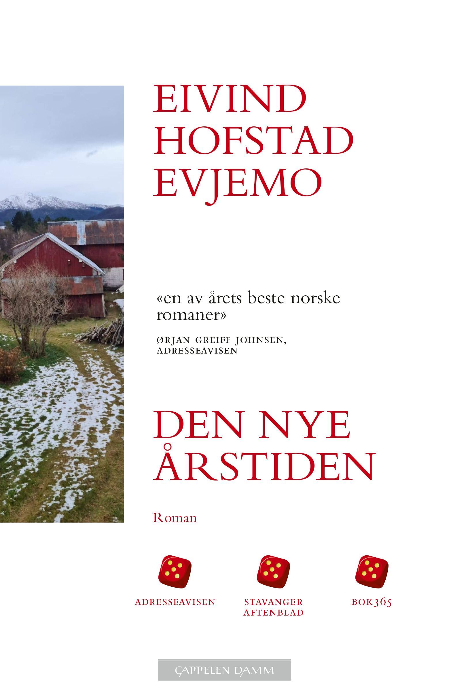 Den nye årstiden : roman