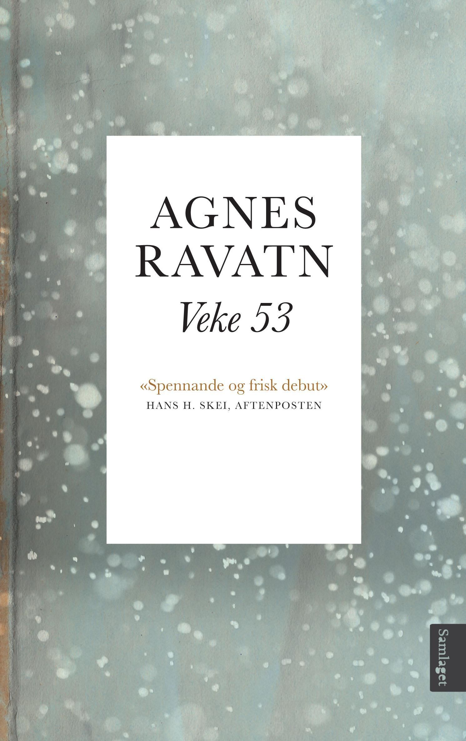 Veke 53 : roman