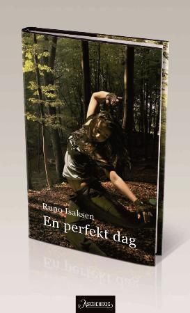 En perfekt dag : roman