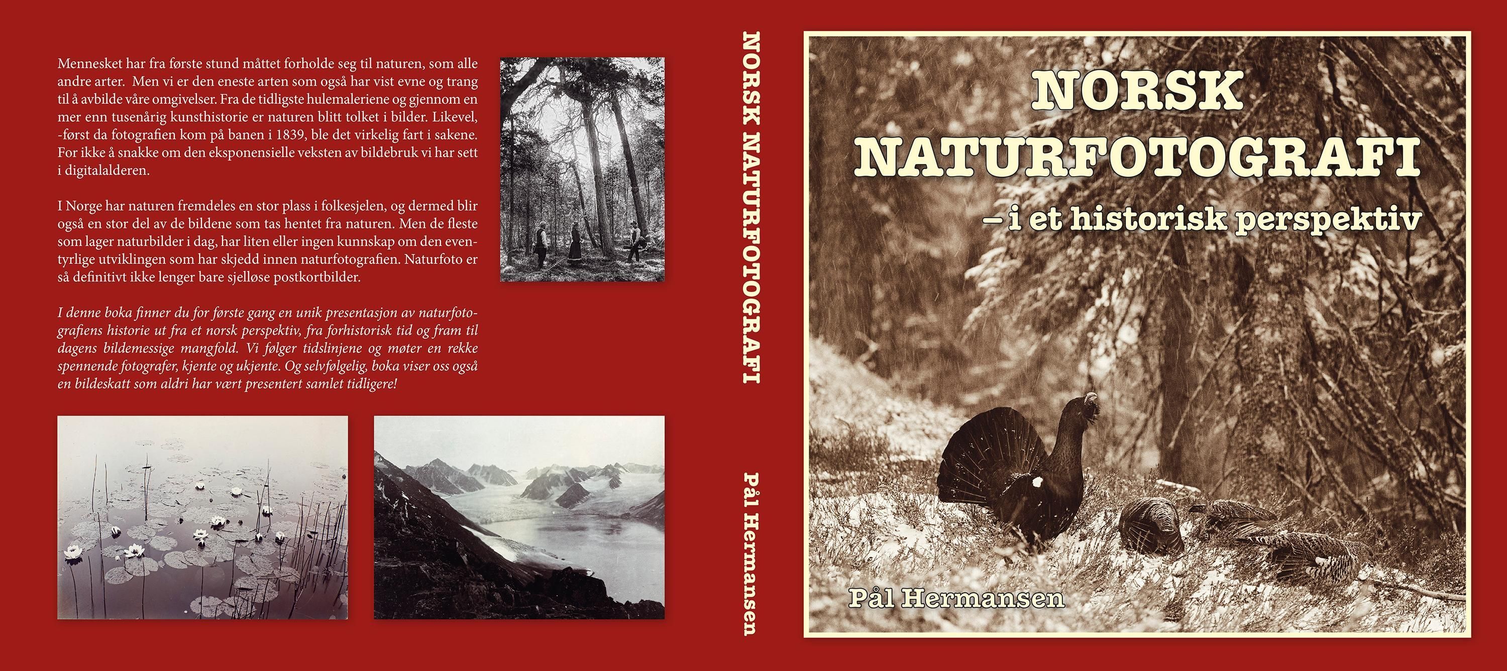Norsk naturfotografi : i et historisk perspektiv