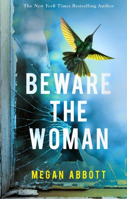 Beware the Woman : The twisty, unputdownable new thriller about family secrets by the New York Times bestselling author