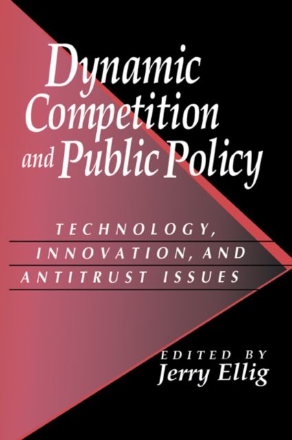 Dynamic Competition and Public Policy : Technology, Innovation, and Antitrust Issues
