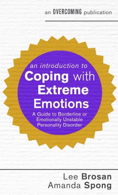 An Introduction to Coping with Extreme Emotions : A Guide to Borderline or Emotionally Unstable Personality Disorder