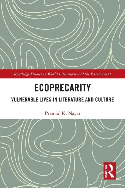 Ecoprecarity : Vulnerable Lives in Literature and Culture