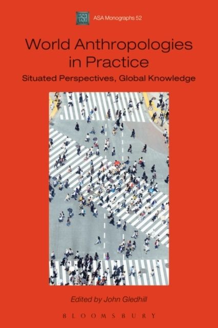 World Anthropologies in Practice : Situated Perspectives, Global Knowledge
