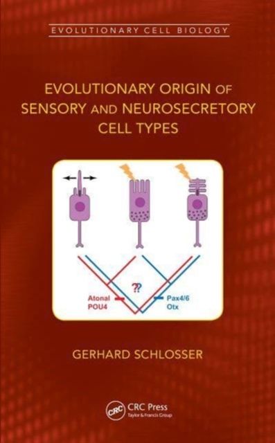 Evolutionary Origin of Sensory and Neurosecretory Cell Types : Vertebrate Cranial Placodes, volume 2
