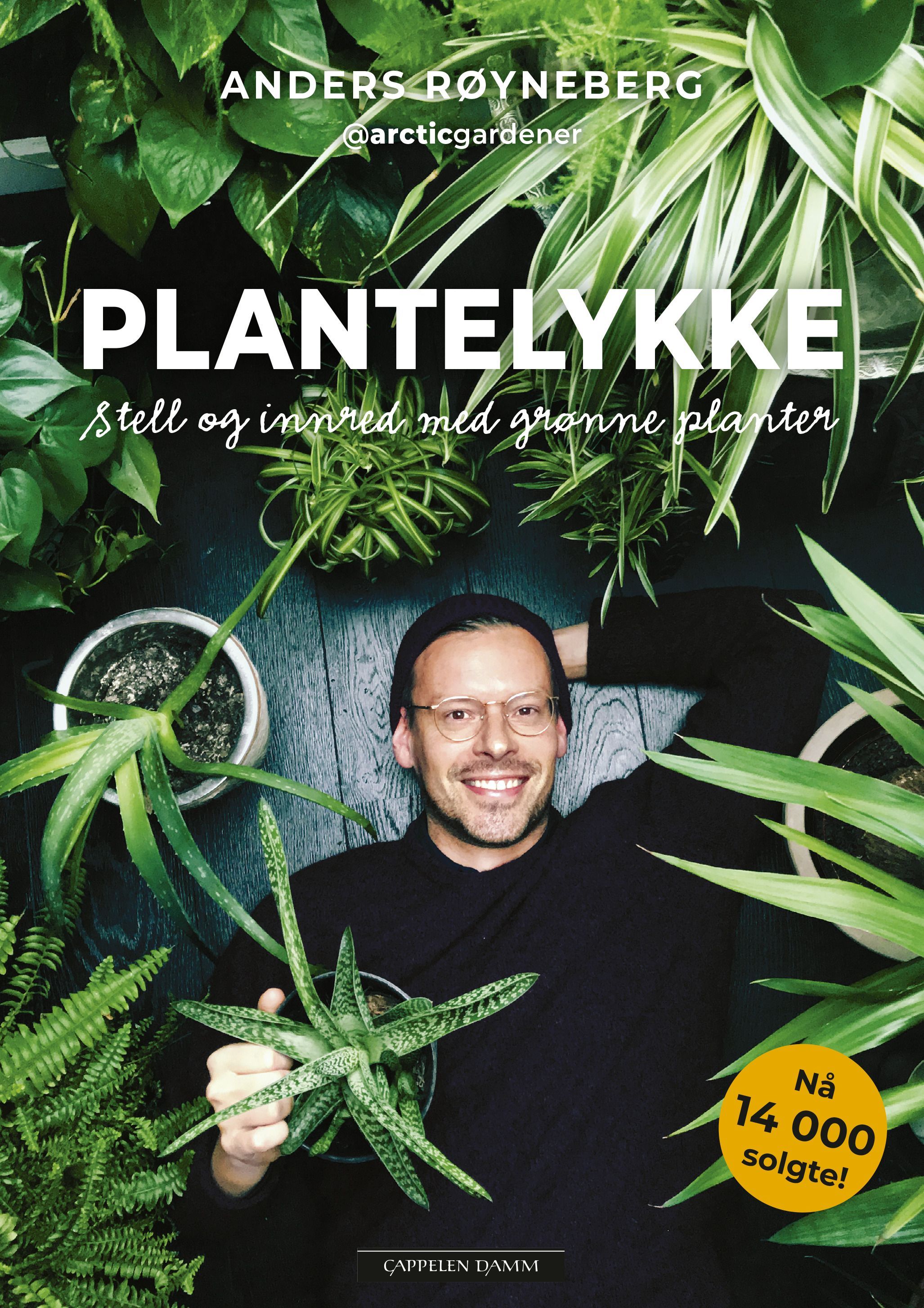 Plantelykke : stell og innred med grønne planter