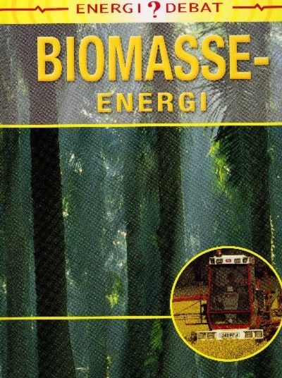 Biomasseenergi