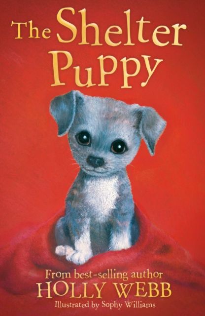 The shelter puppy