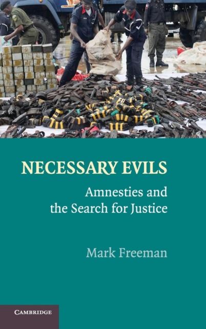 Necessary Evils : Amnesties and the Search for Justice