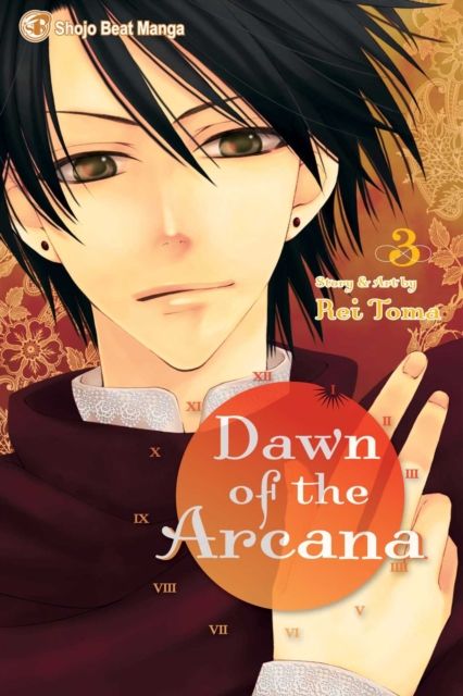 Forsidebilde av Dawn of the Arcana, Vol. 3