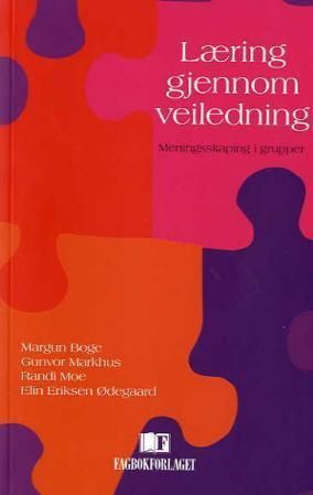 Læring gjennom veiledning : meningsskaping i grupper