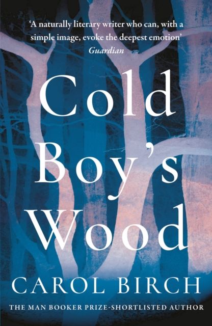 Forsidebilde av Cold Boy's Wood