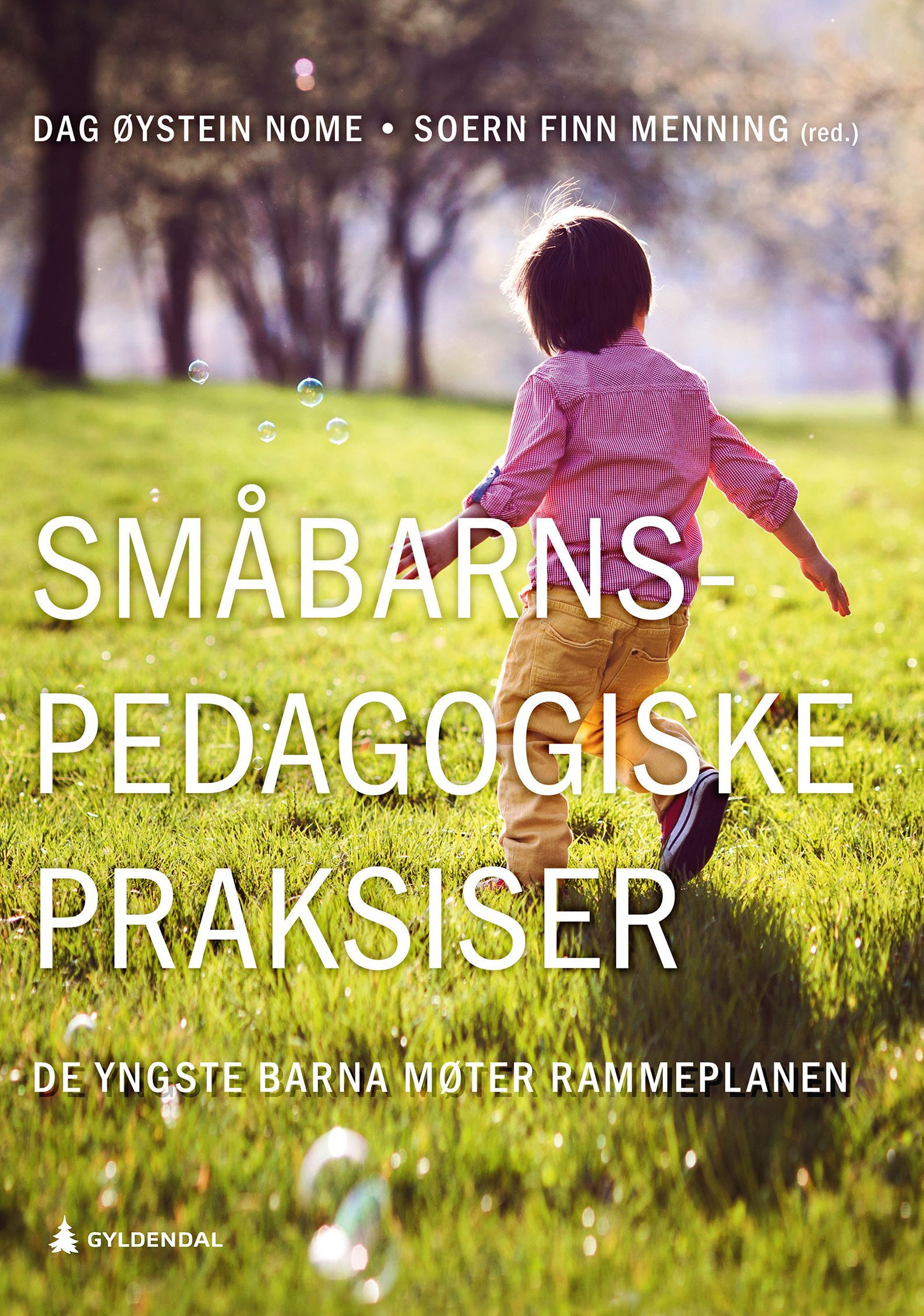Småbarnspedagogiske praksiser : de yngste barna møter rammeplanen