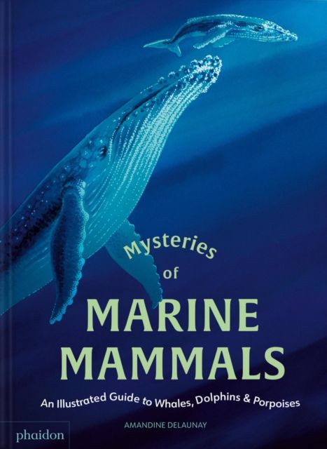 Mysteries of Marine Mammals : An Illustrated Guide to Whales, Dolphins, and Porpoises