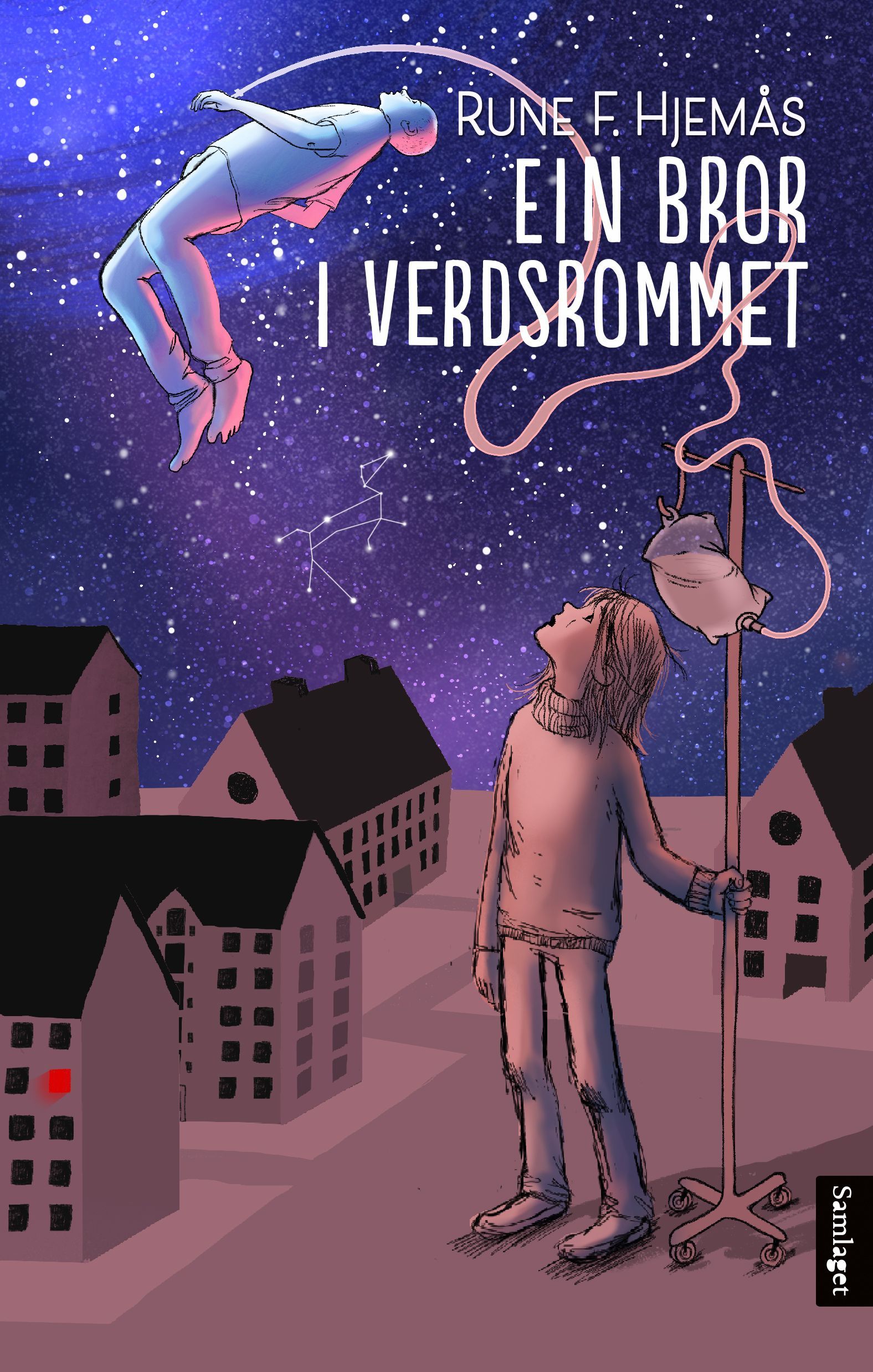 Ein bror i verdsrommet : roman
