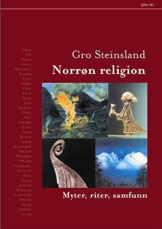 Norrøn religion : myter, riter, samfunn
