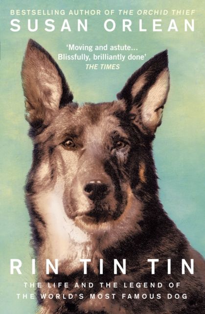Rin Tin Tin : The Life and Legend of the World’s Most Famous Dog