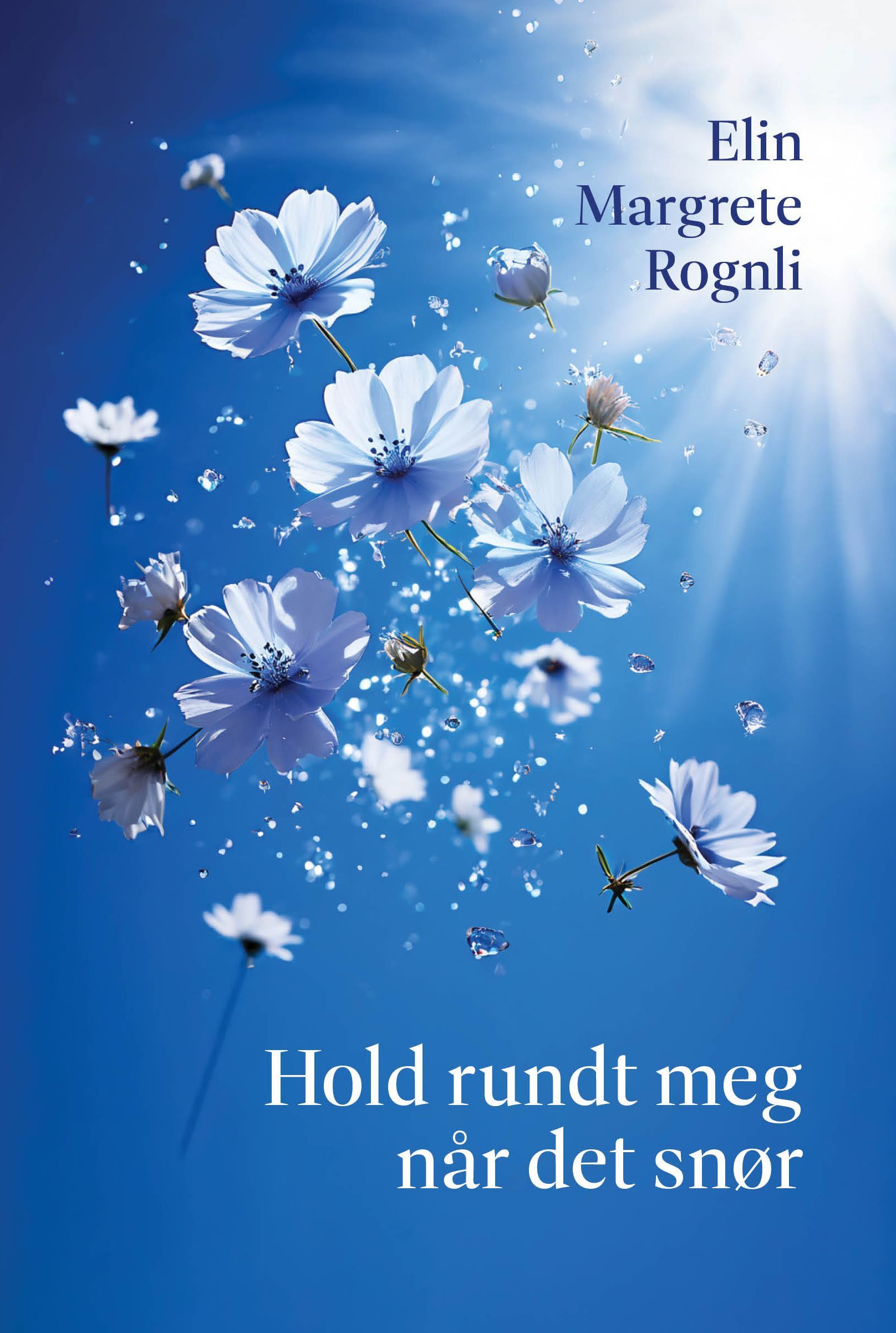 Forsidebilde av Hold rundt meg når det snør