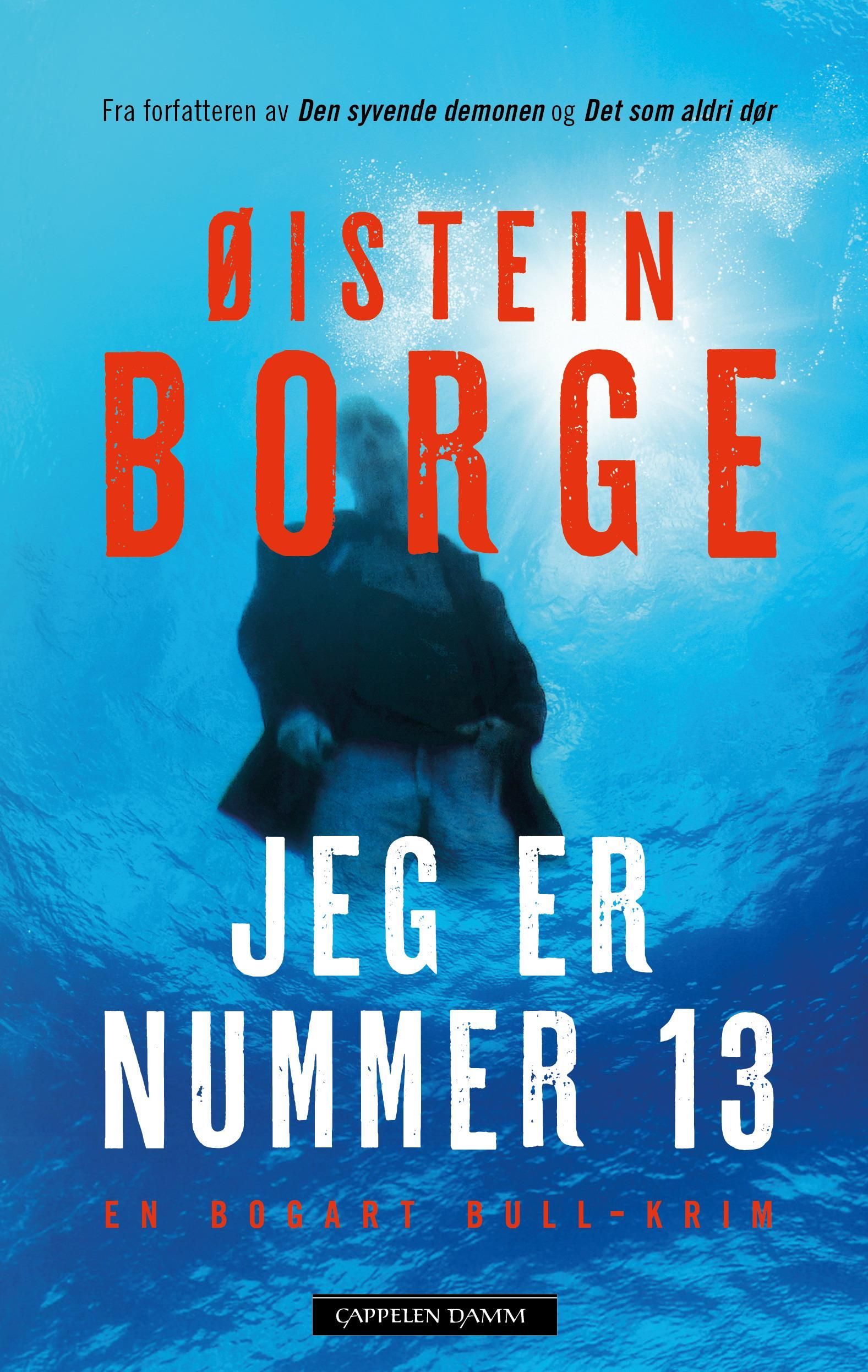 Jeg er nummer 13 : en Bogart Bull-krim