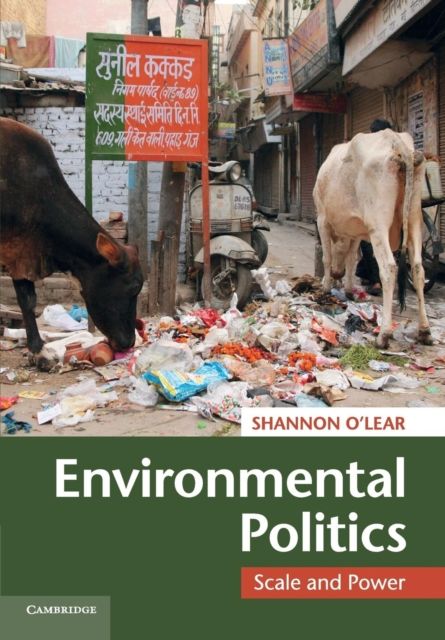 Environmental Politics : Scale and Power