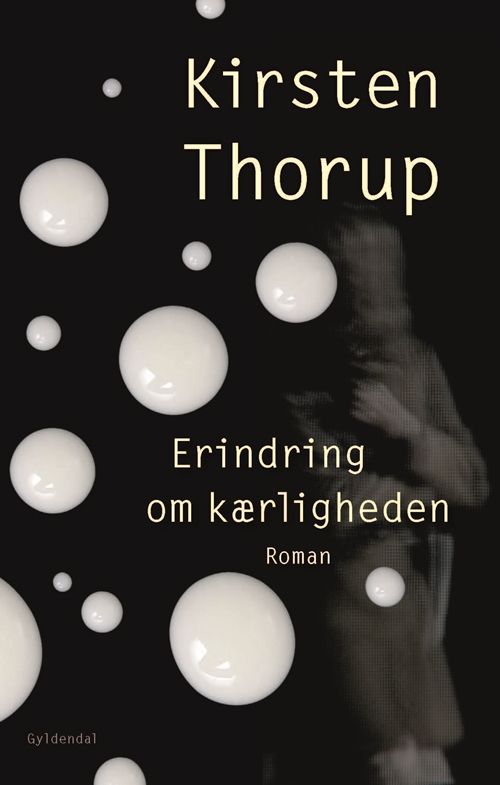 Erindring om kærligheden : roman