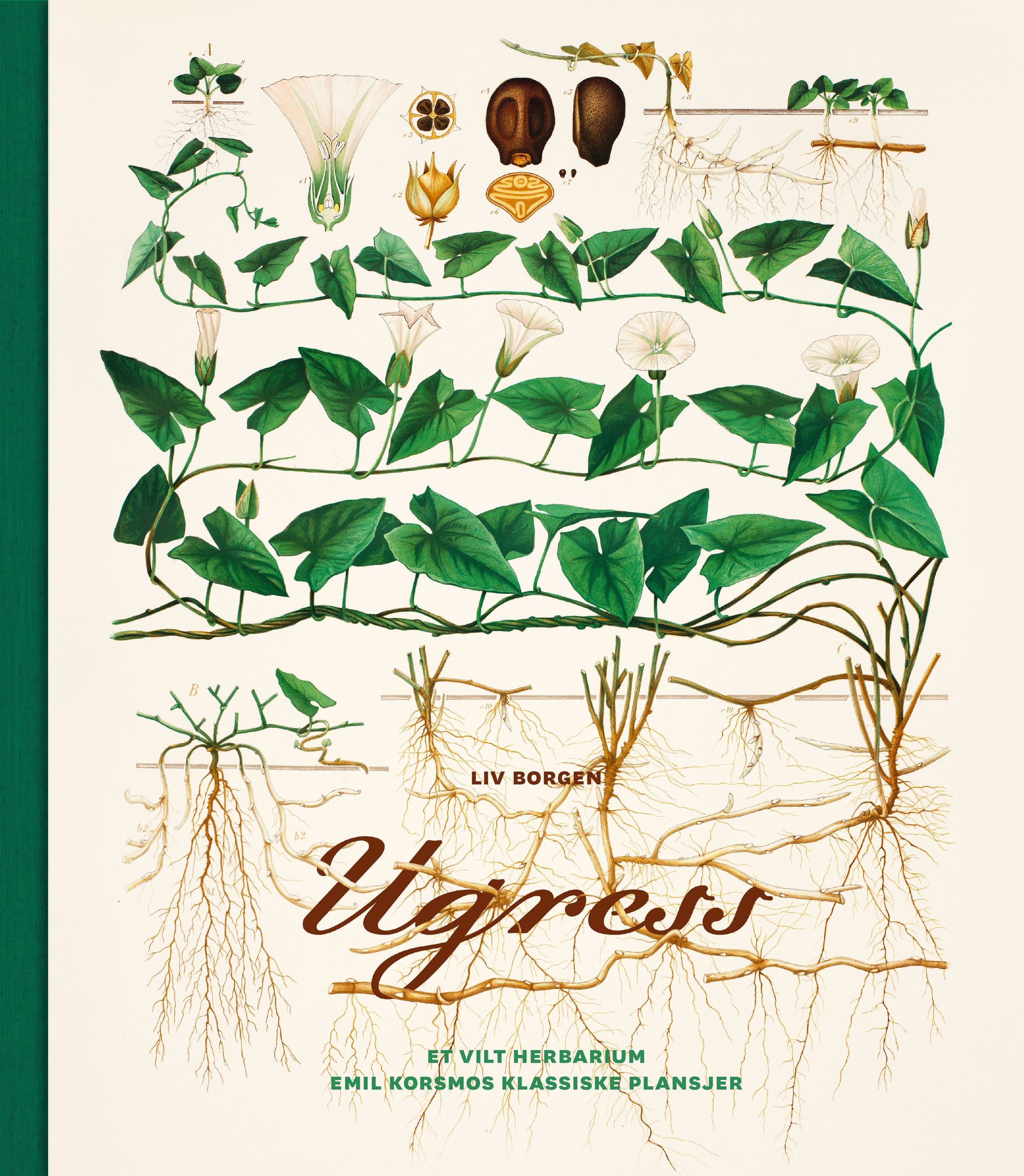 Ugress : et vilt herbarium : Emil Korsmos klassiske plansjer