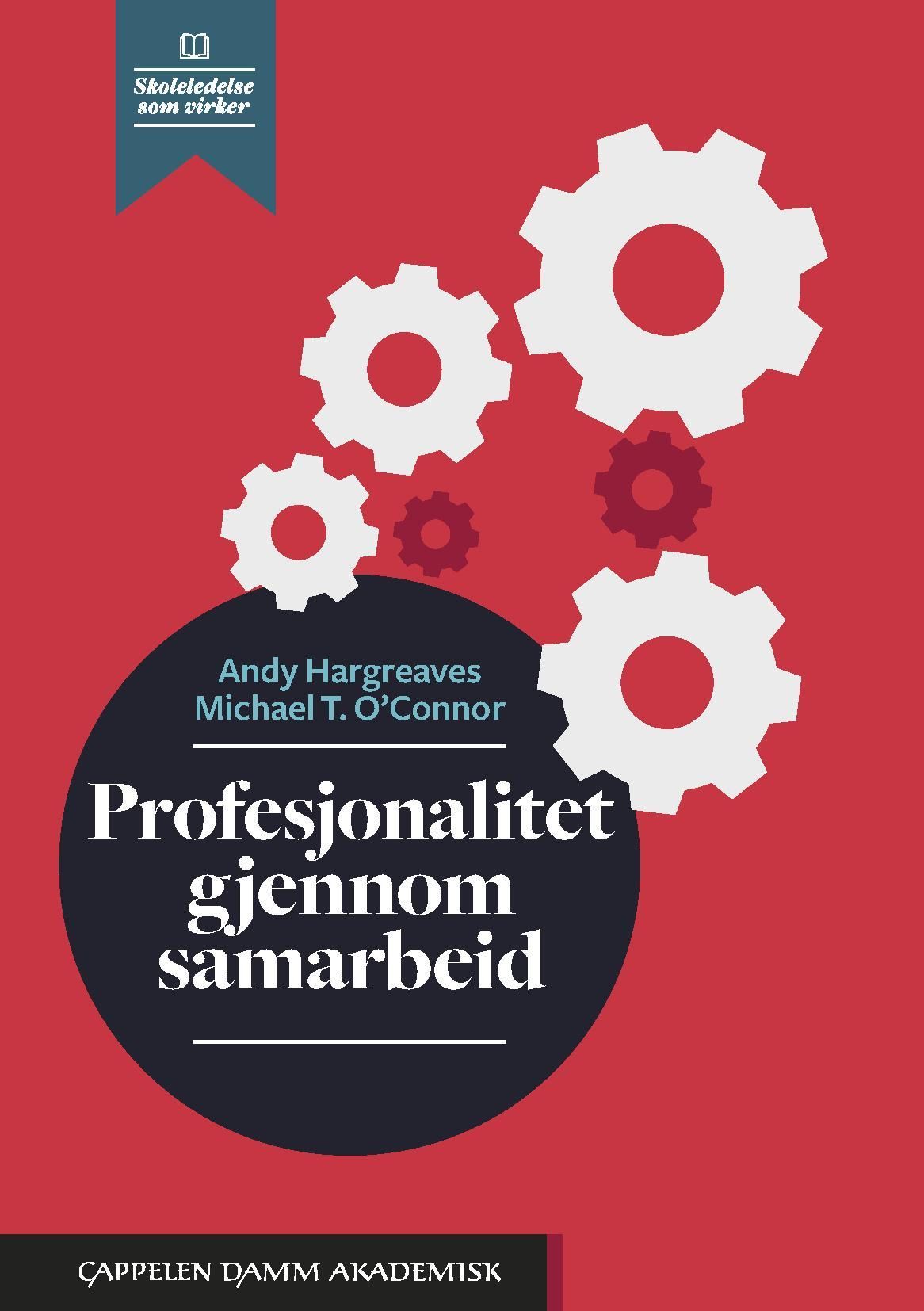 Profesjonalitet gjennom samarbeid : når undervisning i samarbeid gir læring for alle