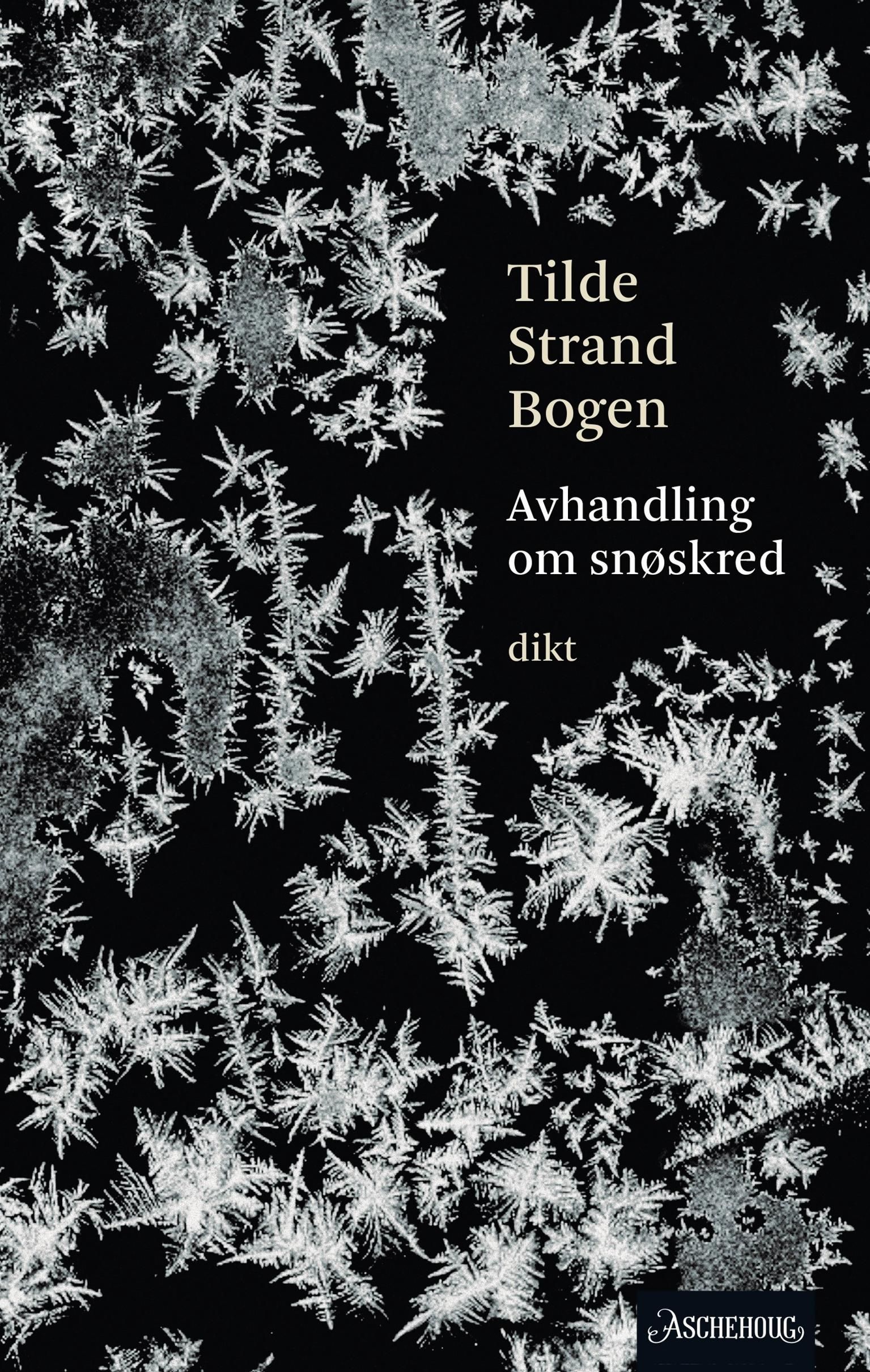 Avhandling om snøskred : lyrikk