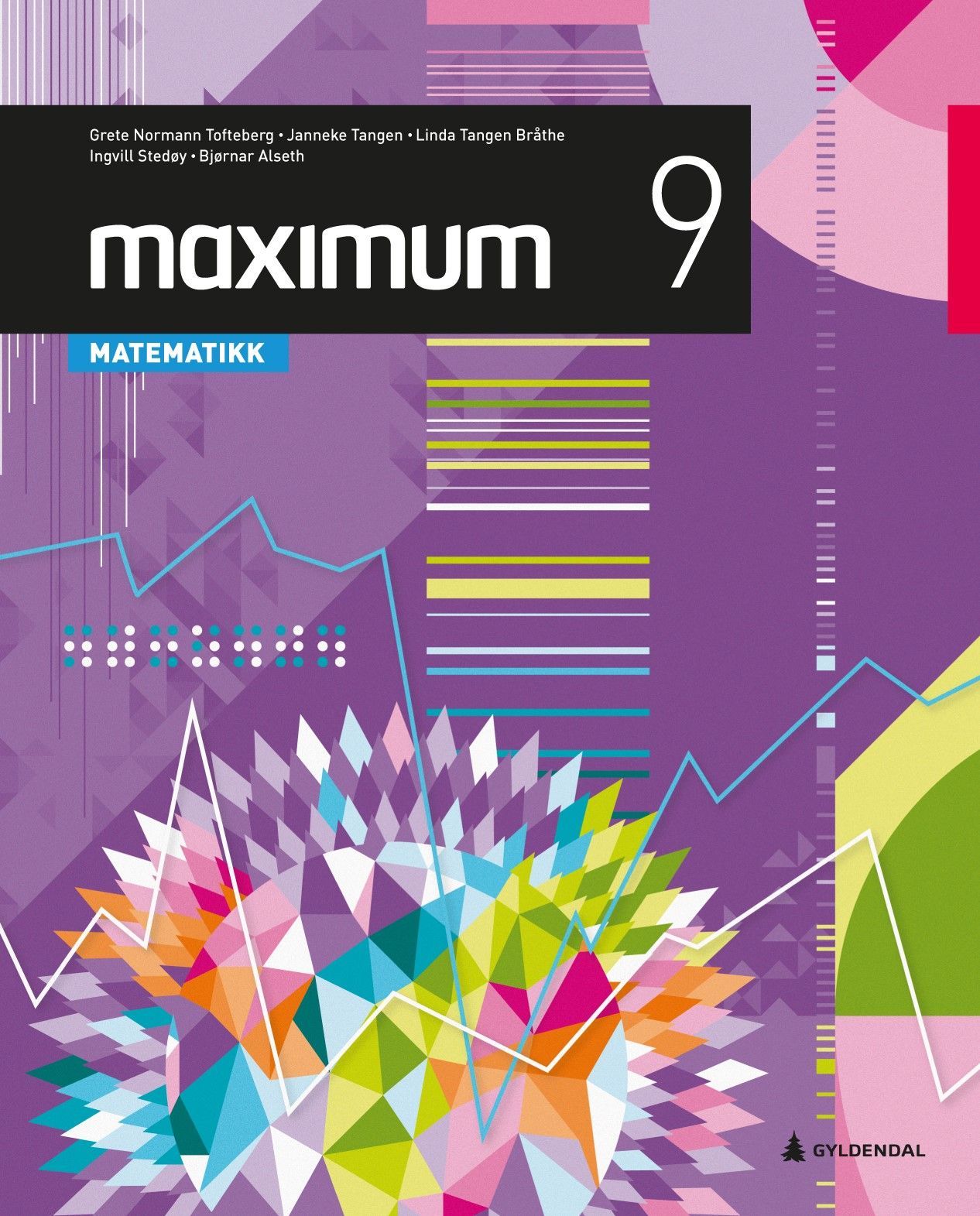 Maximum 9, 2.utg. : matematikk for ungdomstrinnet