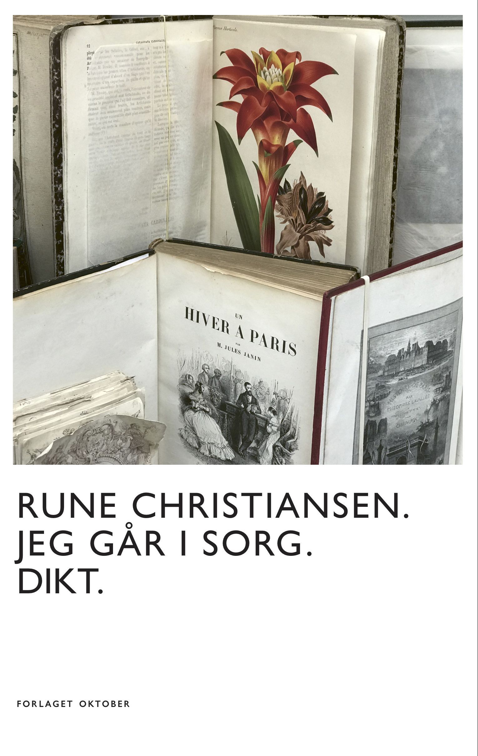 Jeg går i sorg : dikt