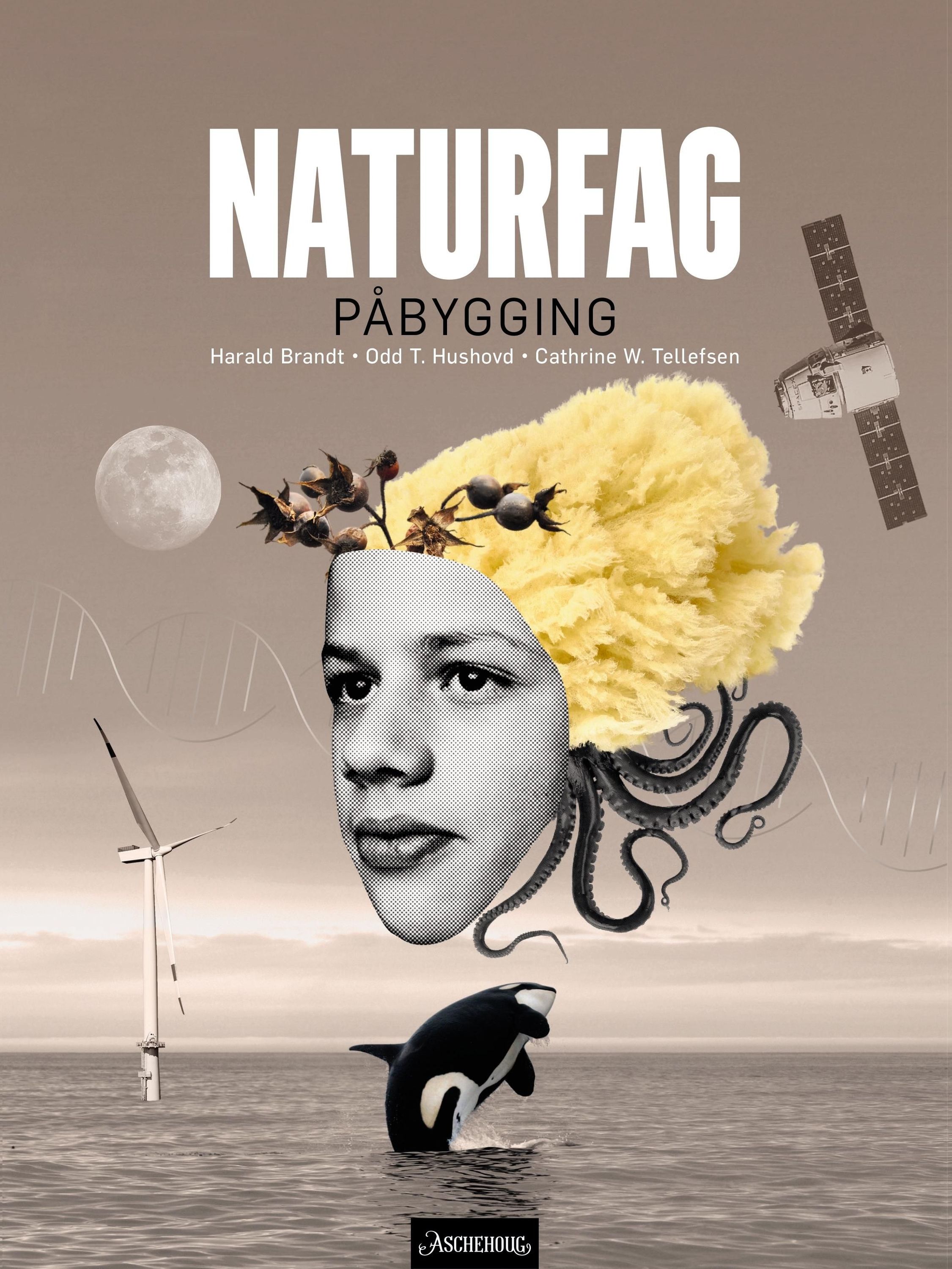 Naturfag påbygging vg3 : naturfag for videregående. Lærebok