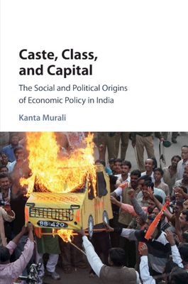 Caste, Class, and Capital : The Social and Political Origins of Economic Policy in India