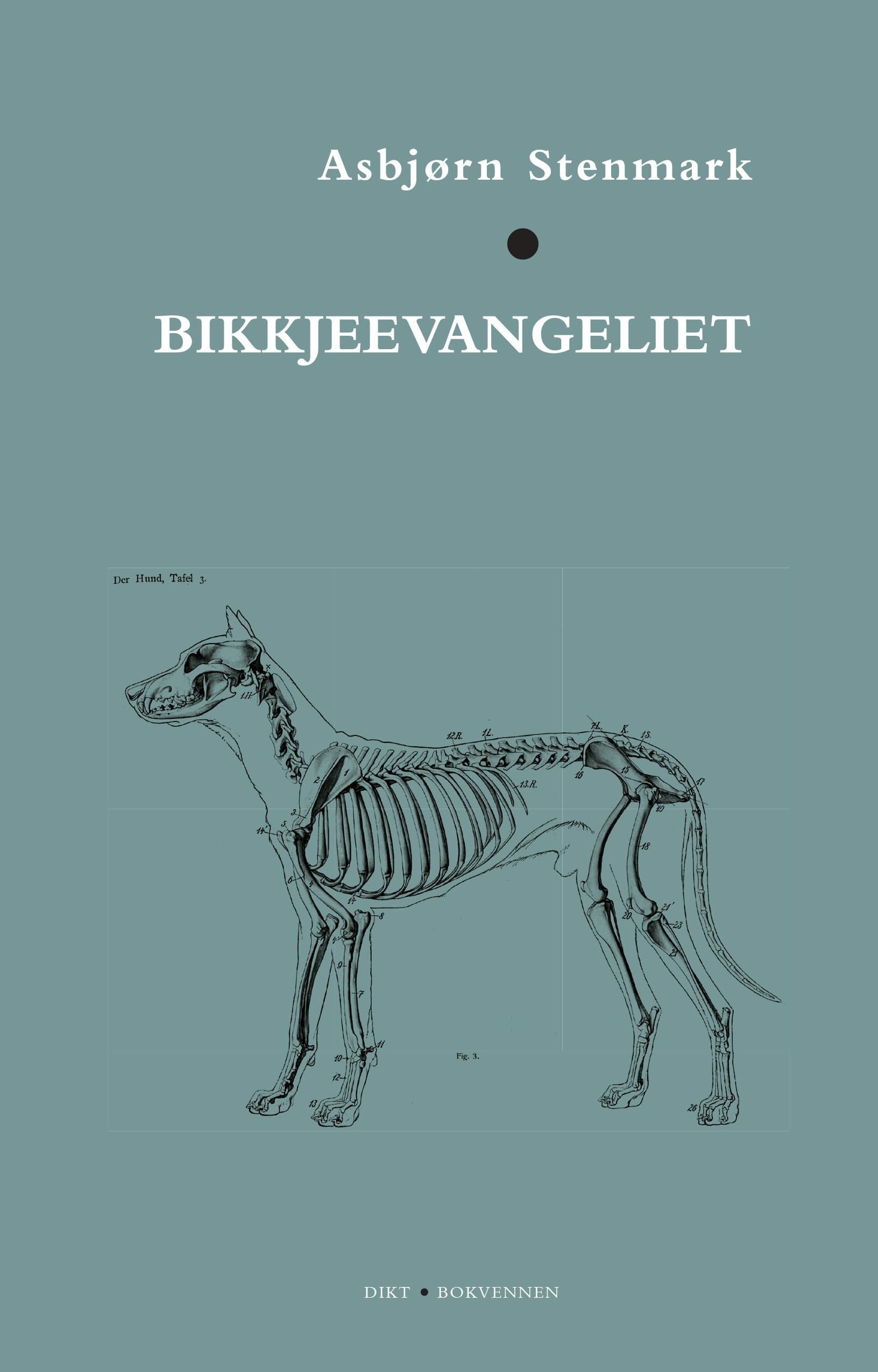 Forsidebilde av Bikkjeevangeliet : dikt