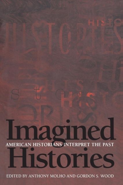 Imagined Histories : American Historians Interpret the Past