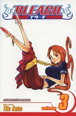 Bleach. vol. 3. Memories in the rain