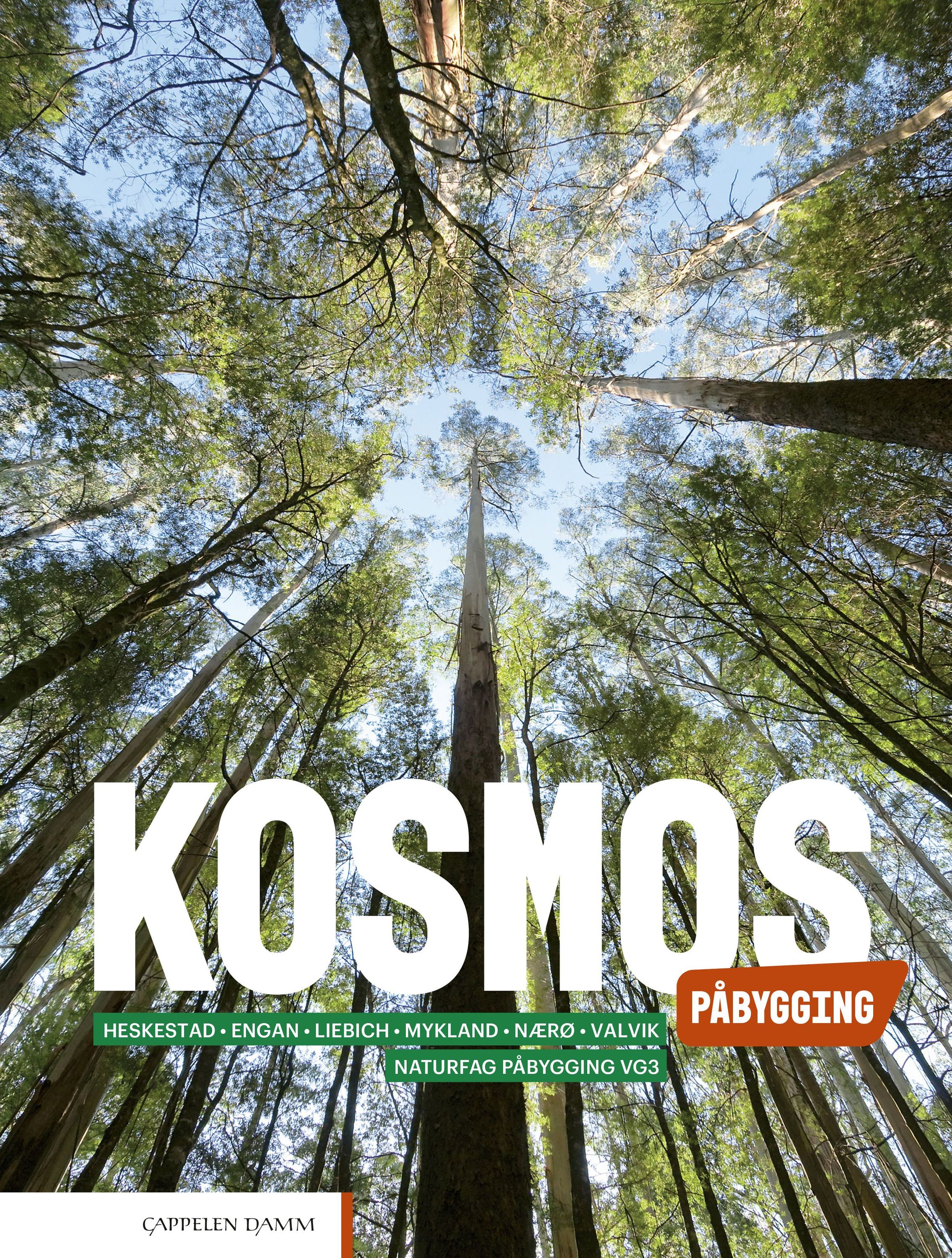 Kosmos påbygging : påbygging til generell studiekompetanse i naturfag. Lærebok