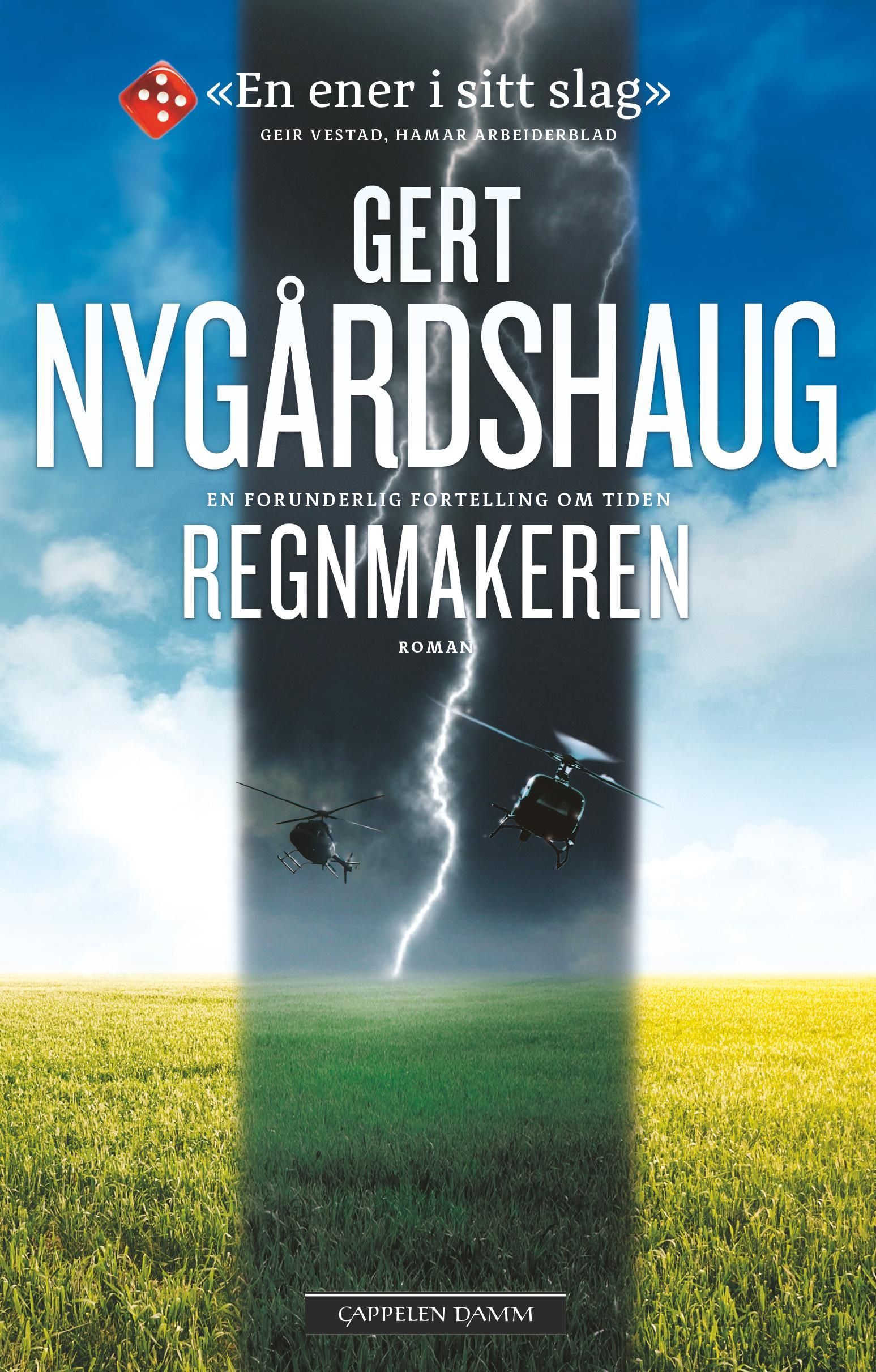 Regnmakeren : roman 2019