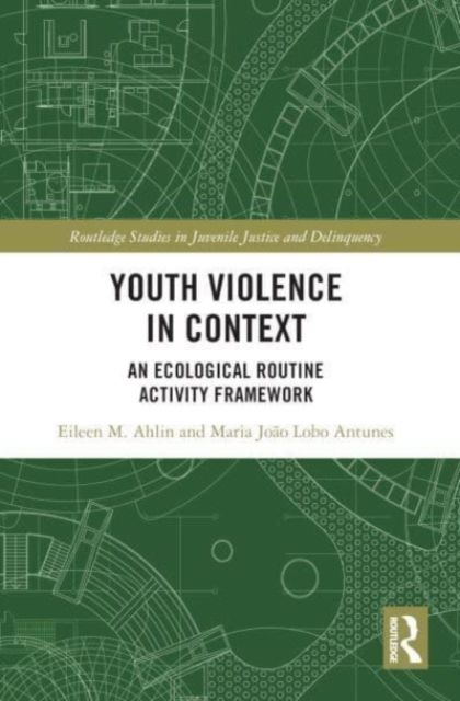 Youth Violence in Context : An Ecological Routine Activity Framework